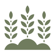 agribusiness