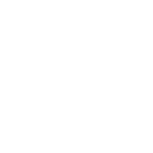 appraisal icon