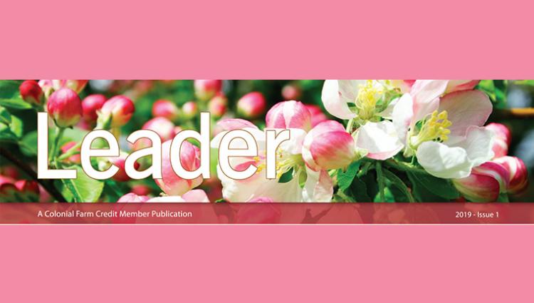 2019 issue 1