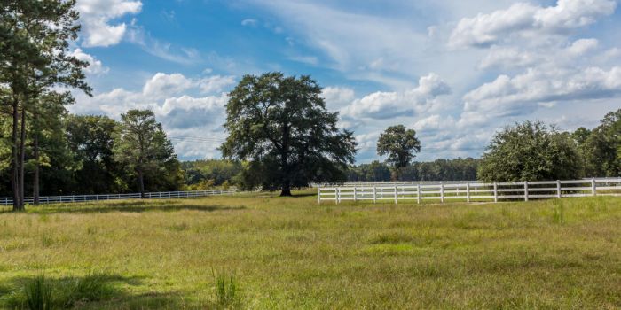 rural field with fence