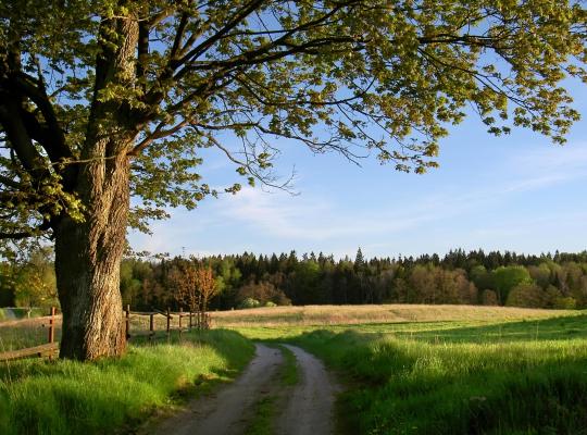 farmland