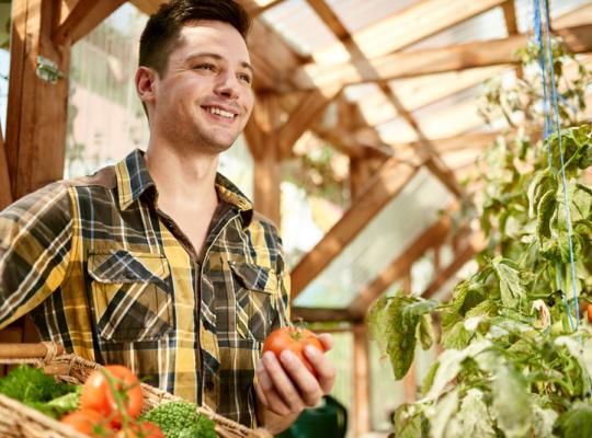 man holding a red tomato