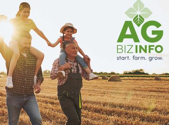 agbizinfo display image