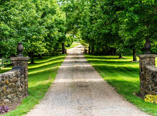 road with stone wall