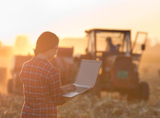 female farmer looking at laptop