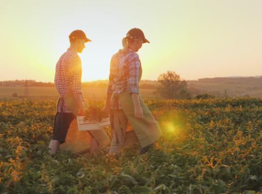 young farmers walking with produce