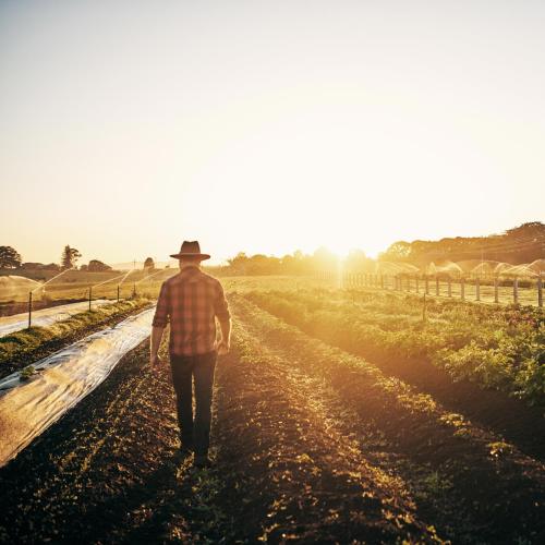 testimonial stock photo of farmer