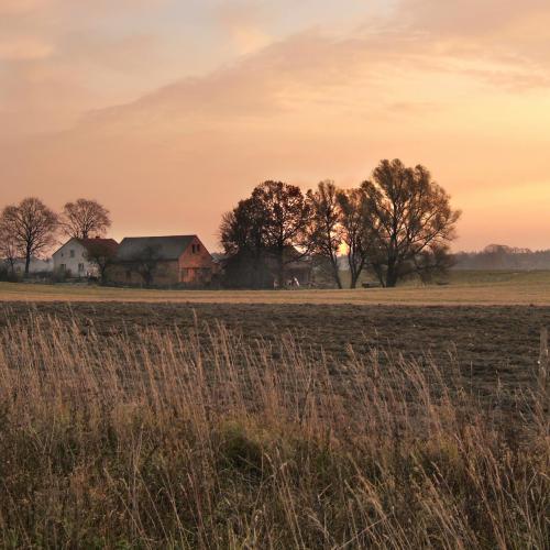 farm house 